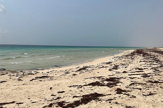 Tour image 4