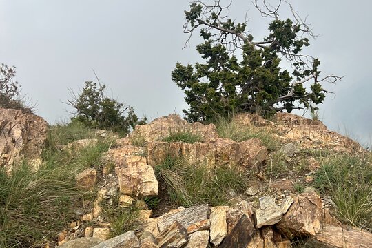 Tour image 6